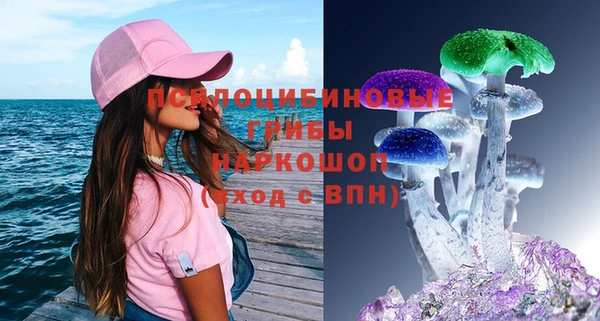 PSILOCYBIN Чита